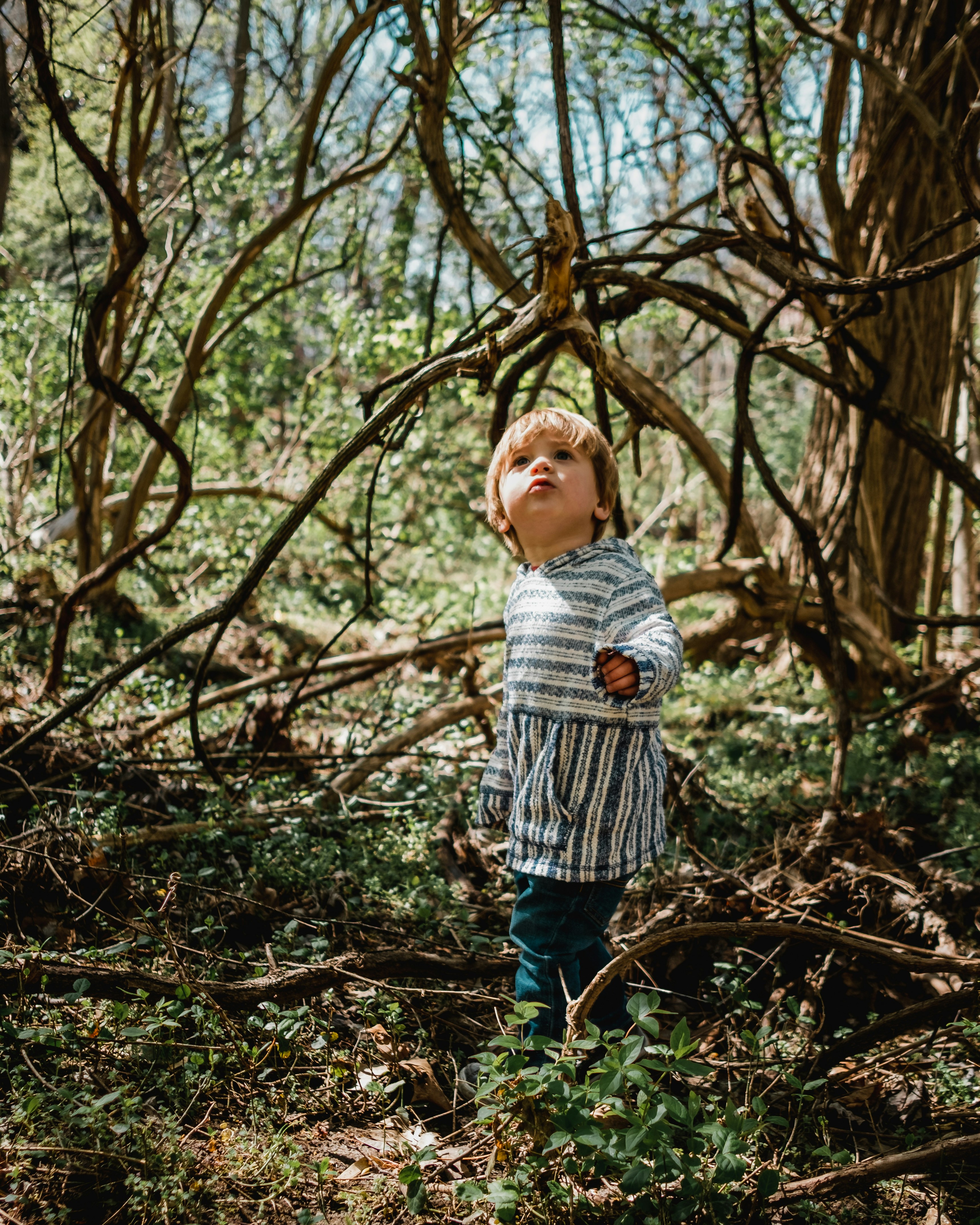 Children walking together through a forest path