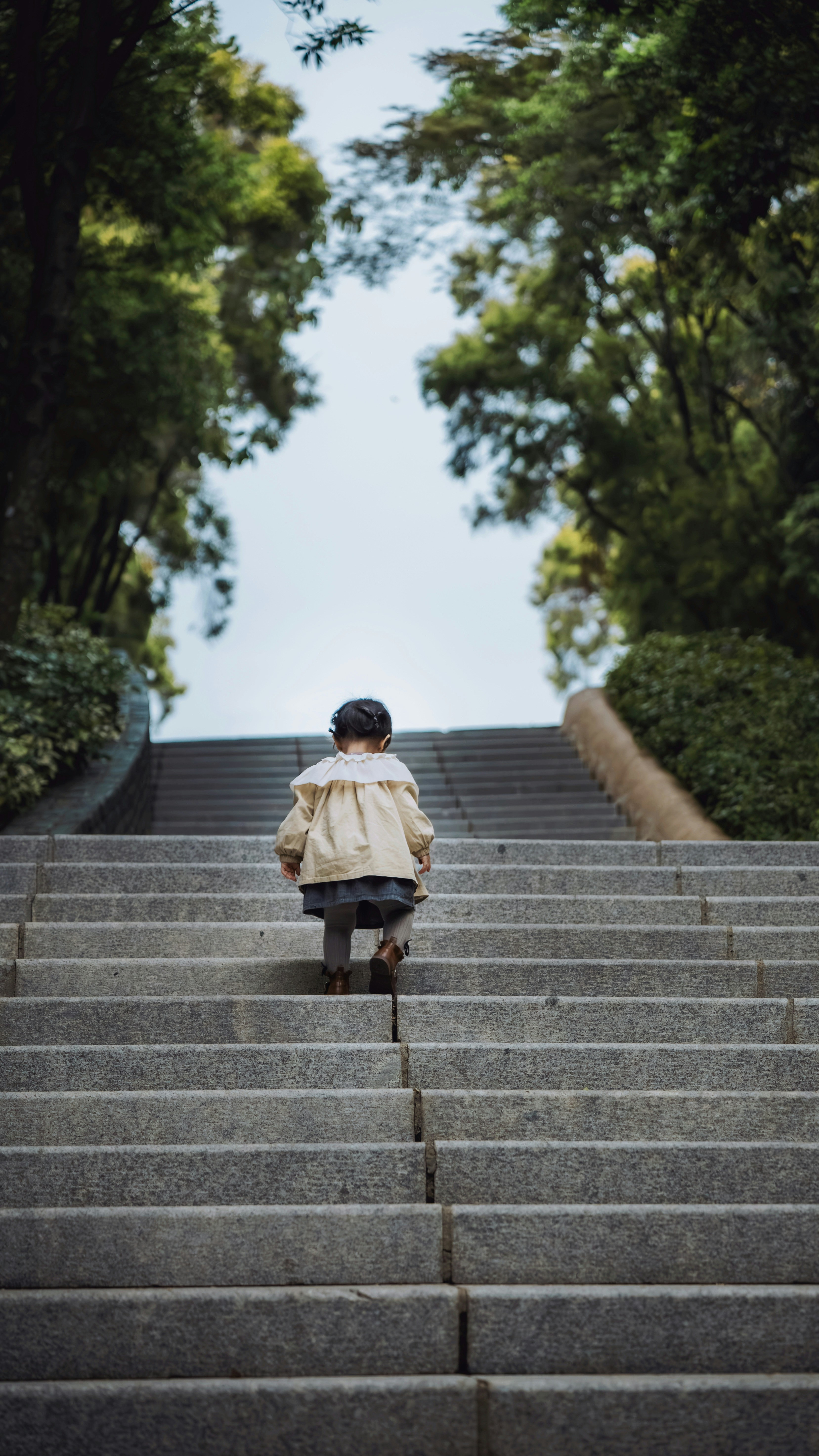 Young child climbing stone steps outdoors, seen from behind